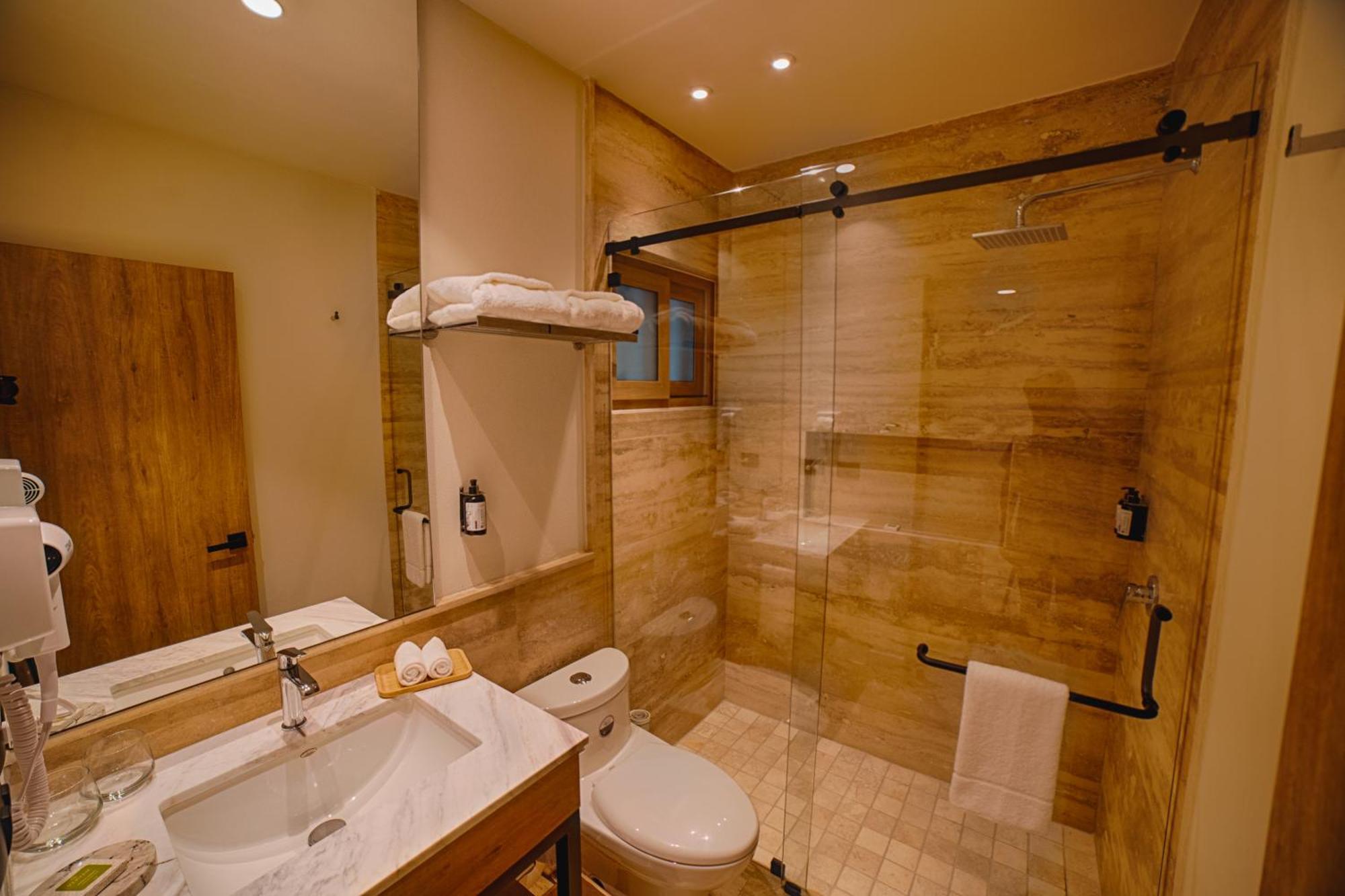 Hotel Casa Aranzazu 산루이스포토시주 외부 사진